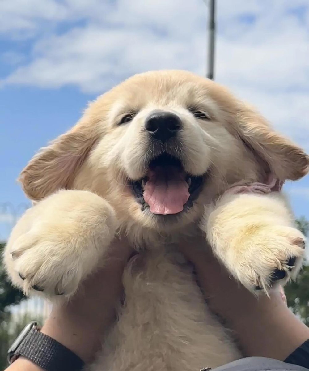 Thaddeus Moore tweet media