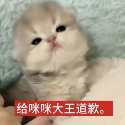 嫩儿🇪🇸 tweet media