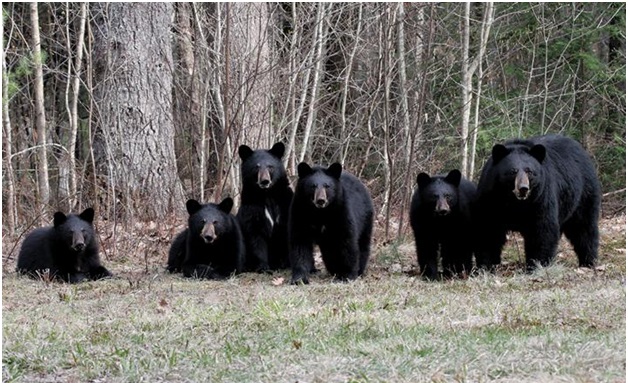 infrabull tweet media