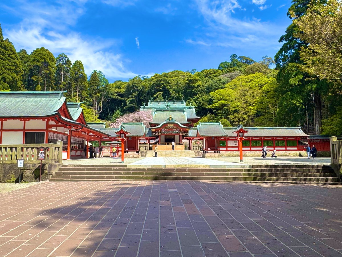 musa🎷🐥🍀 tweet media