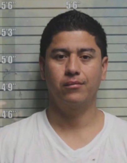 Homeland Security tweet media