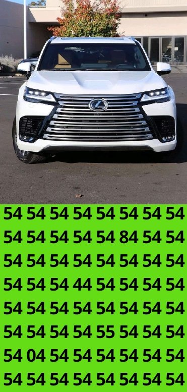 تركي بن فهد tweet media