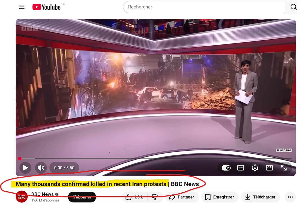 Border Collie (בורדר קולי) tweet media