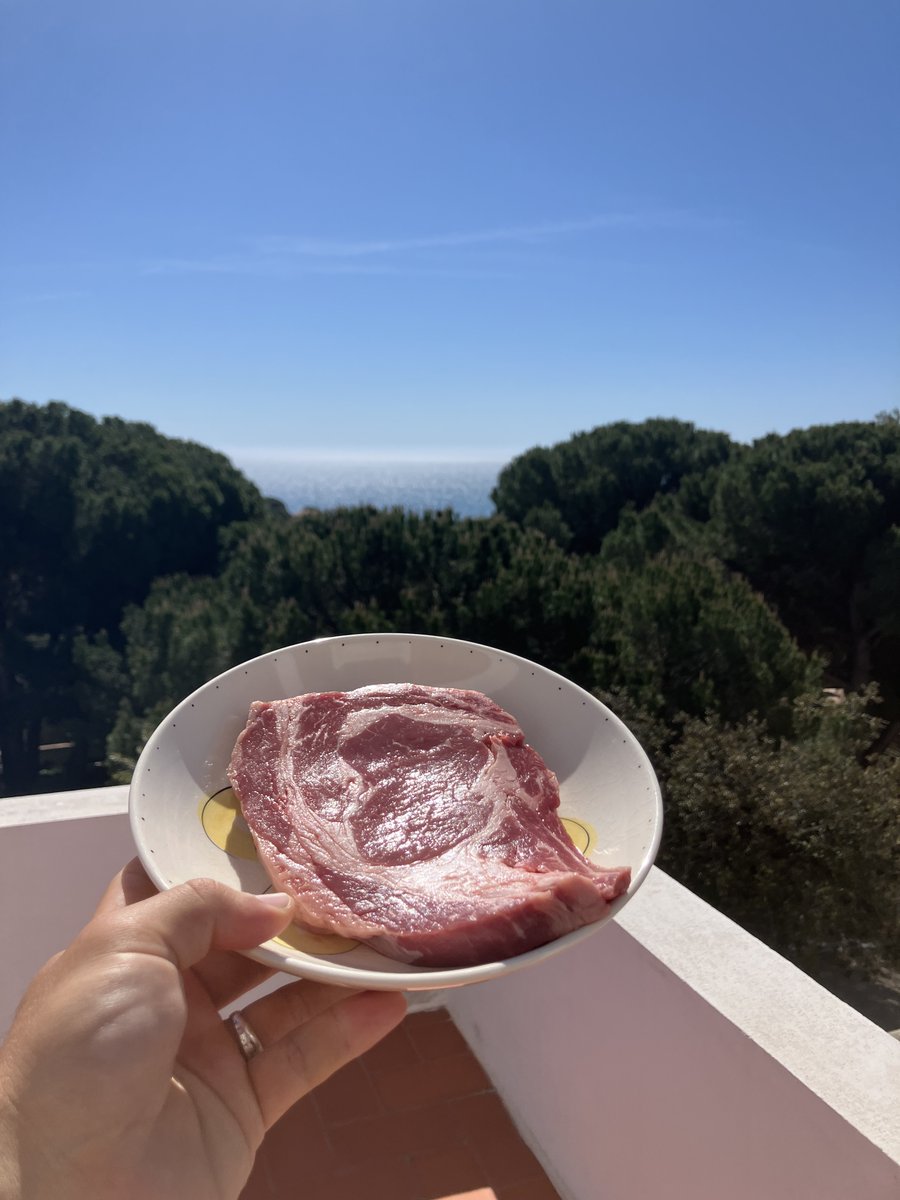 ZanFrequency's tweet photo. god wants you eating your steaks raw in the sun, barefoot and shirtless https://t.co/krqVpJ5uNK