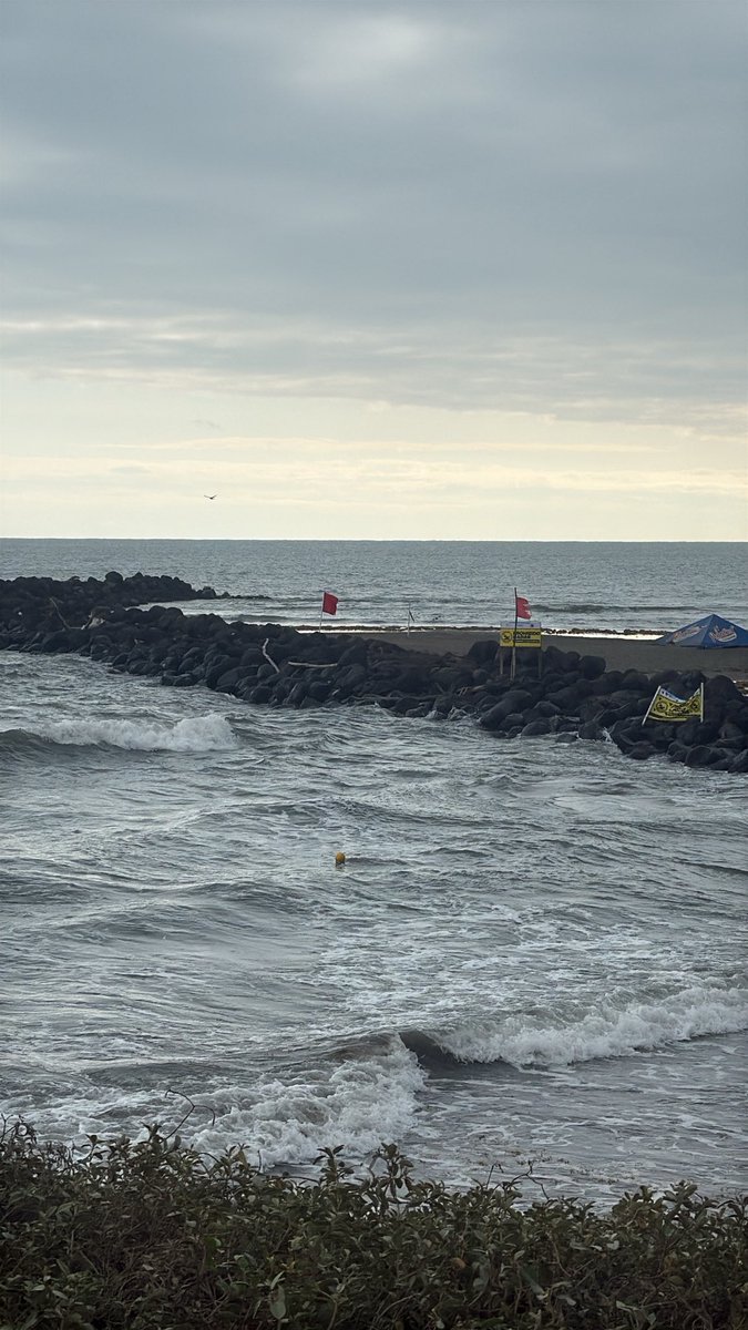 Güera De la Fuente tweet media