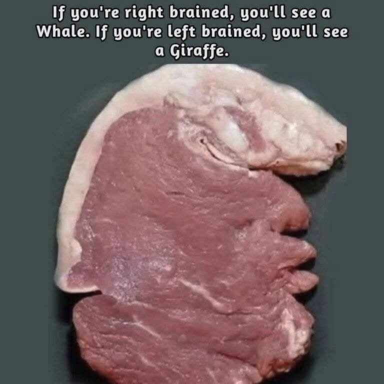 Sajida Khan tweet media