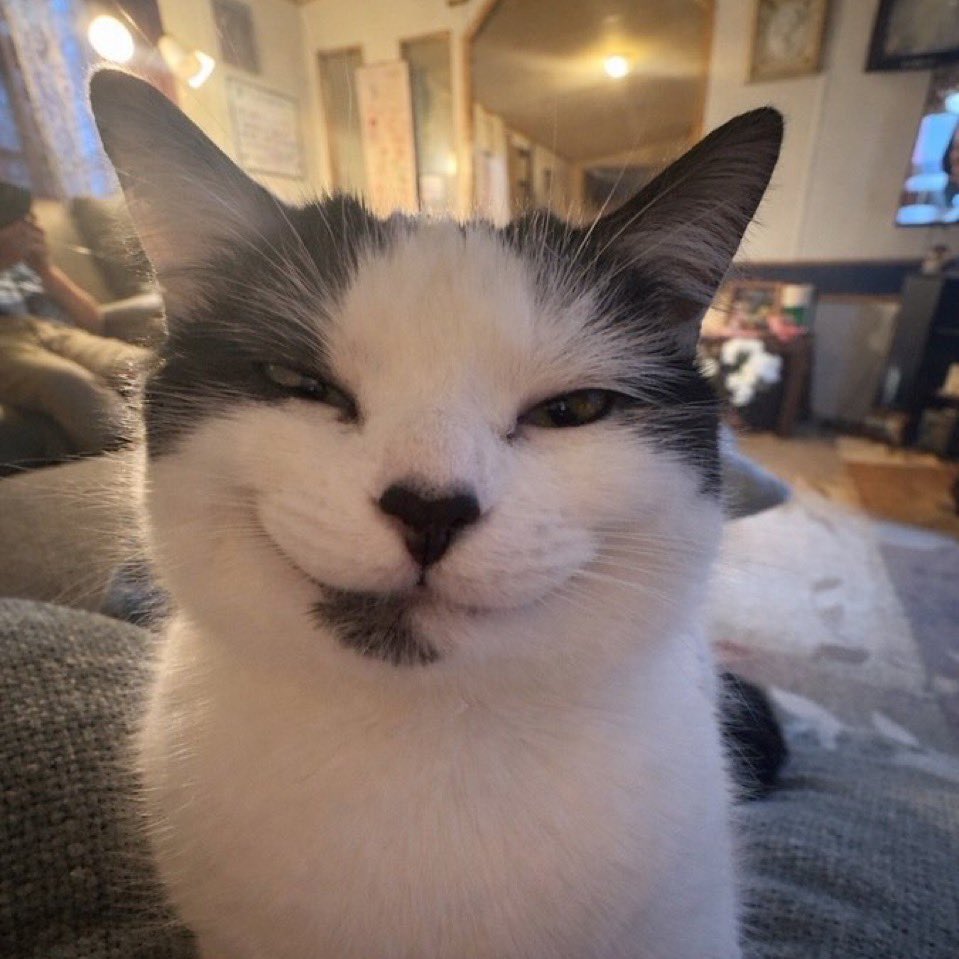 Pix (Knight’s Wife)💕 tweet media