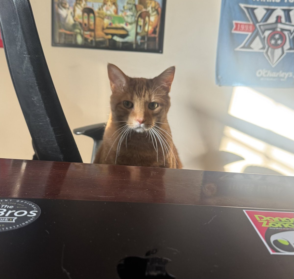 Stoney Keeley tweet media