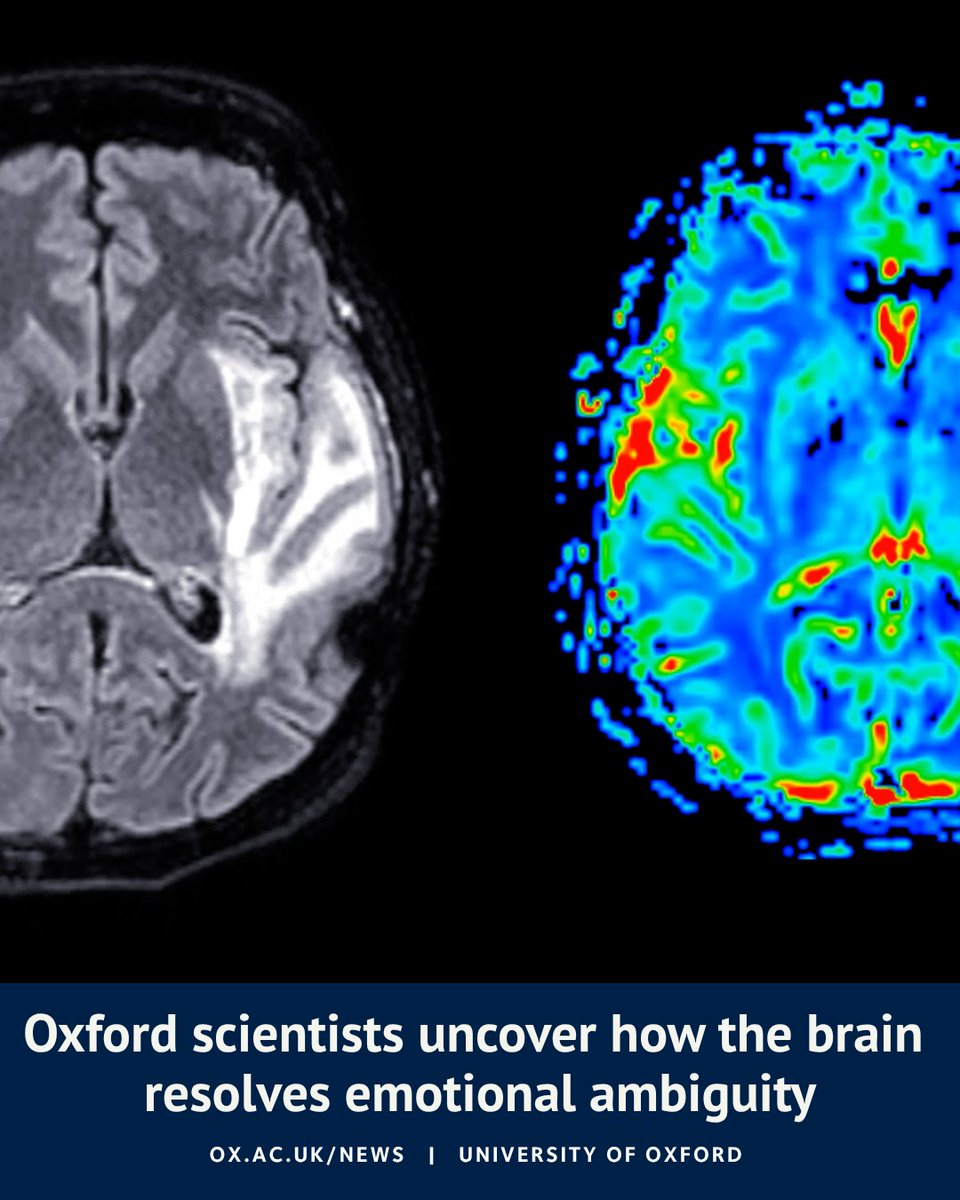 University of Oxford tweet media