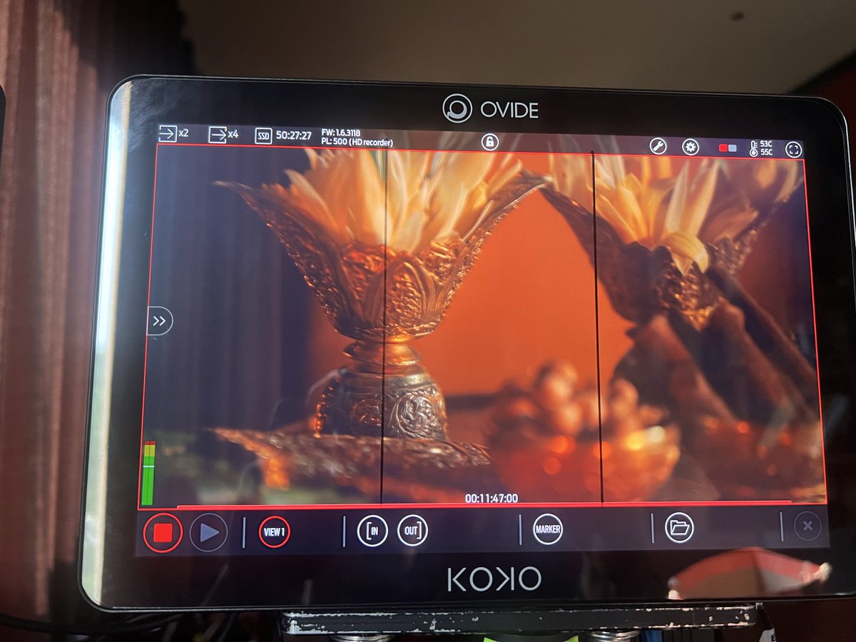 David Bigander tweet media