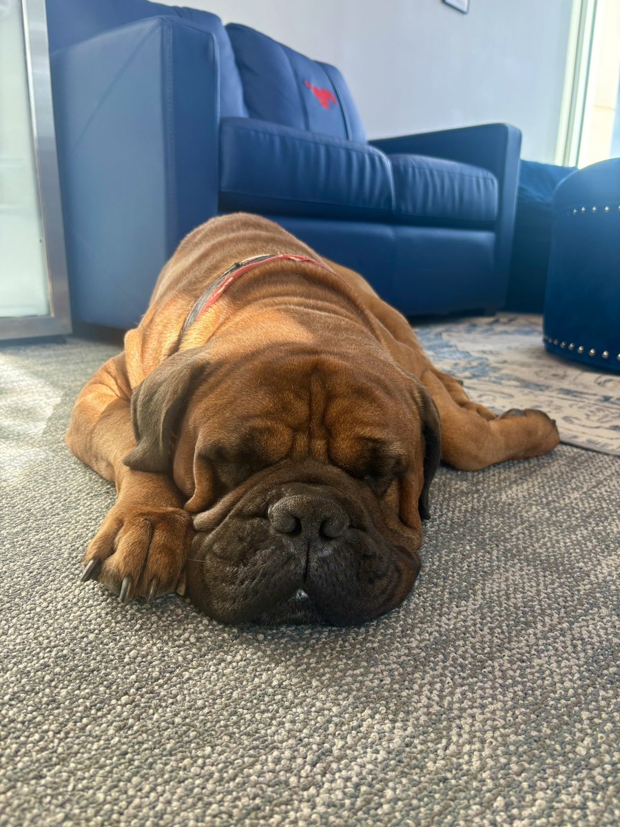 Coach Nady tweet media