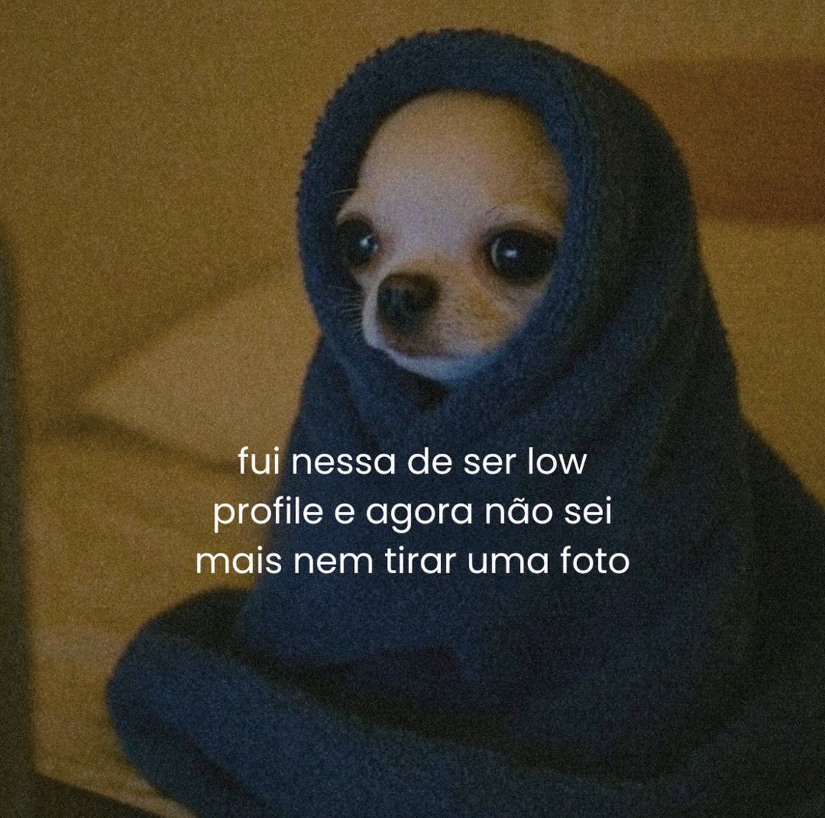 mena | 📖 tweet media