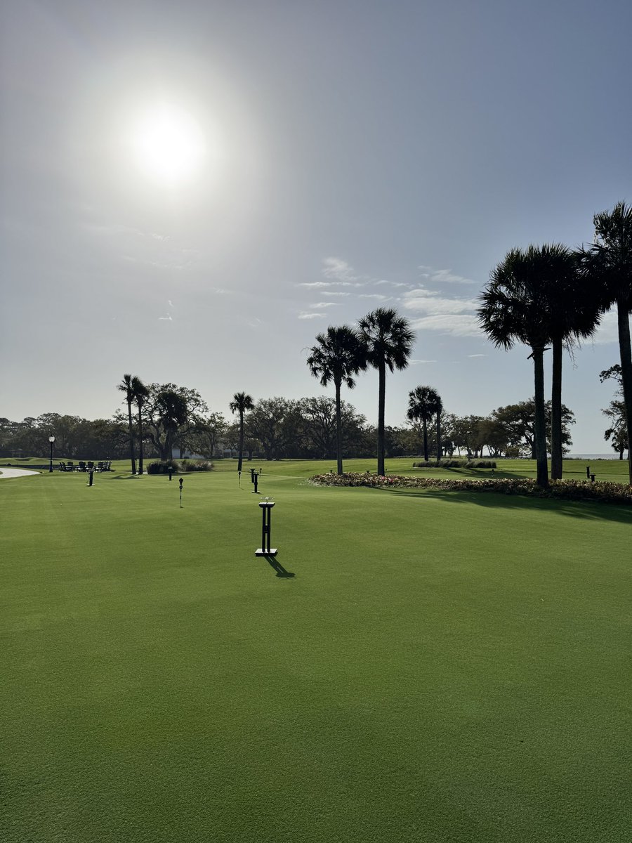 Dr. King Schultz 🦷 tweet media