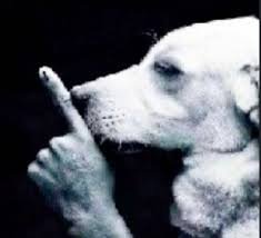 Infernalred tweet media