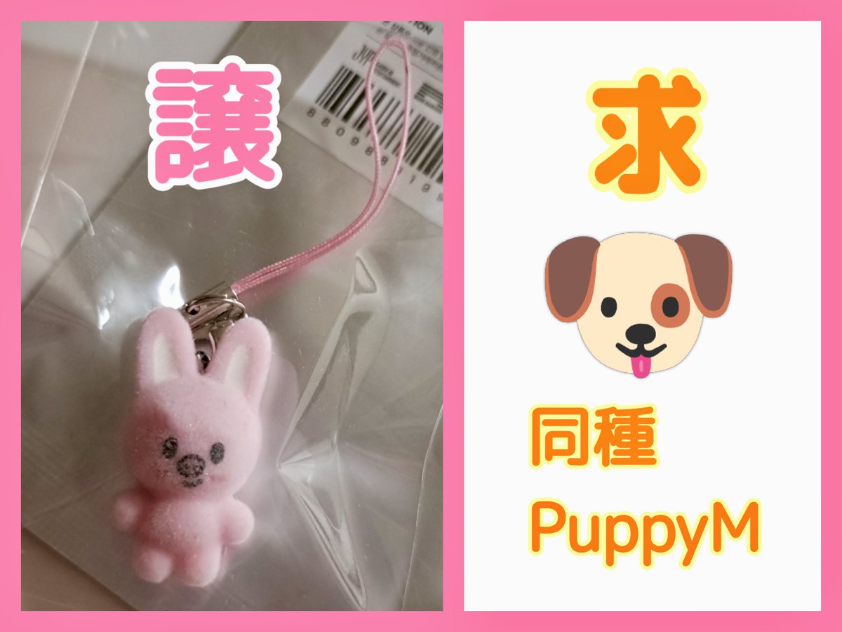 ぽむぽむ tweet media