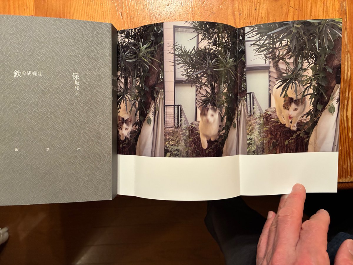 保坂和志【小説的思考塾23 4/18(土)午後5時〜】 tweet media