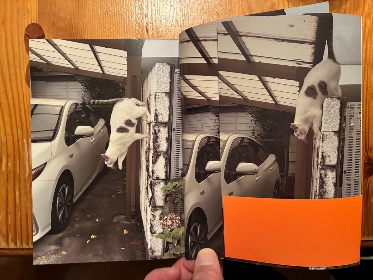 保坂和志【小説的思考塾23 4/18(土)午後5時〜】 tweet media