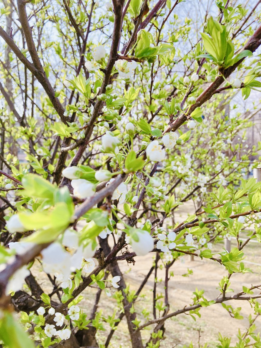 에루🏹える tweet media