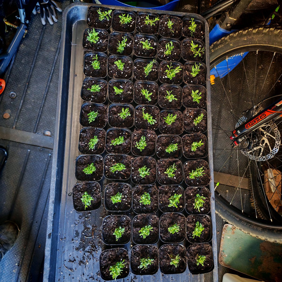 Andy Gee tweet media