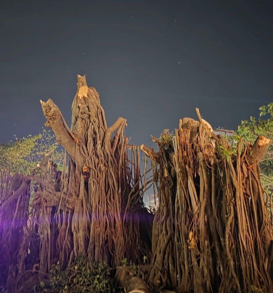 Raju Parulekar tweet media