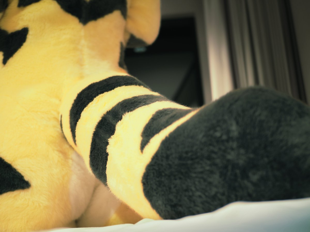 #このタグを見た人はケモノの尻を晒せ