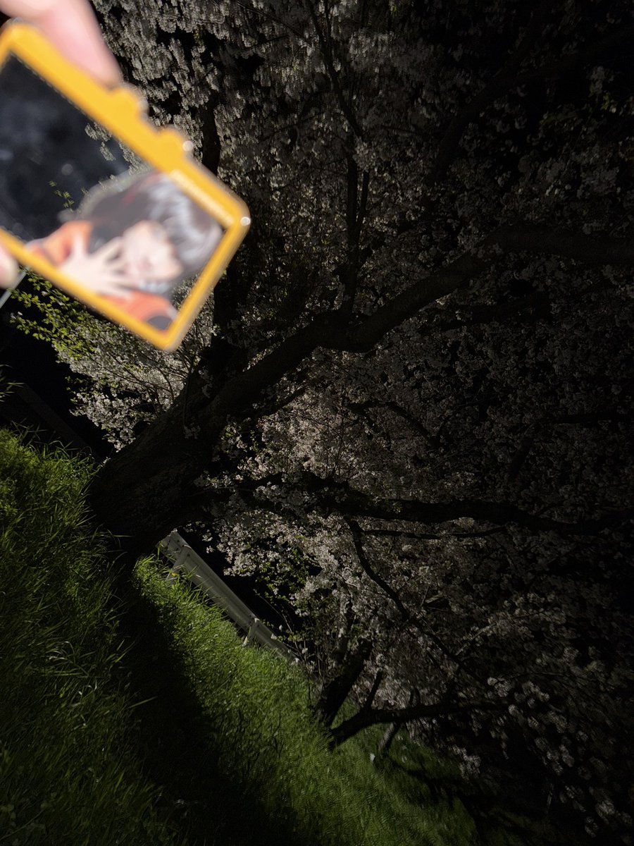 まっきぃ tweet media