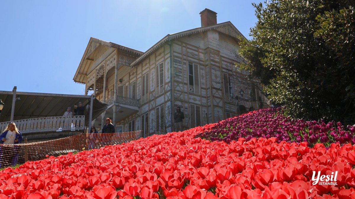 Yeşil İstanbul 🌿 tweet media