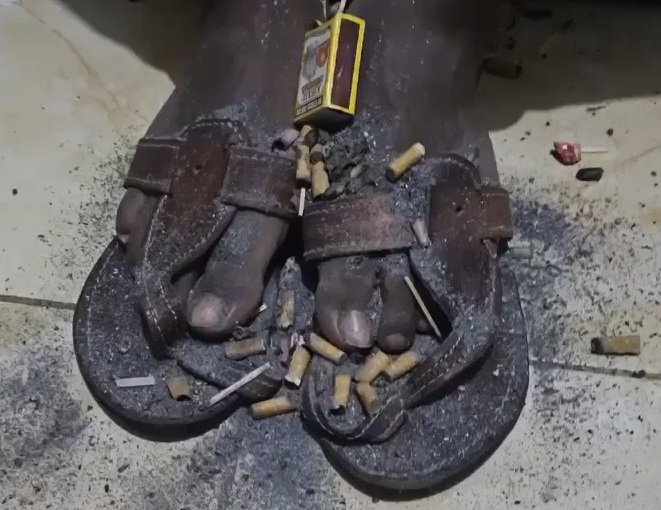 Kodak mwitu tweet media