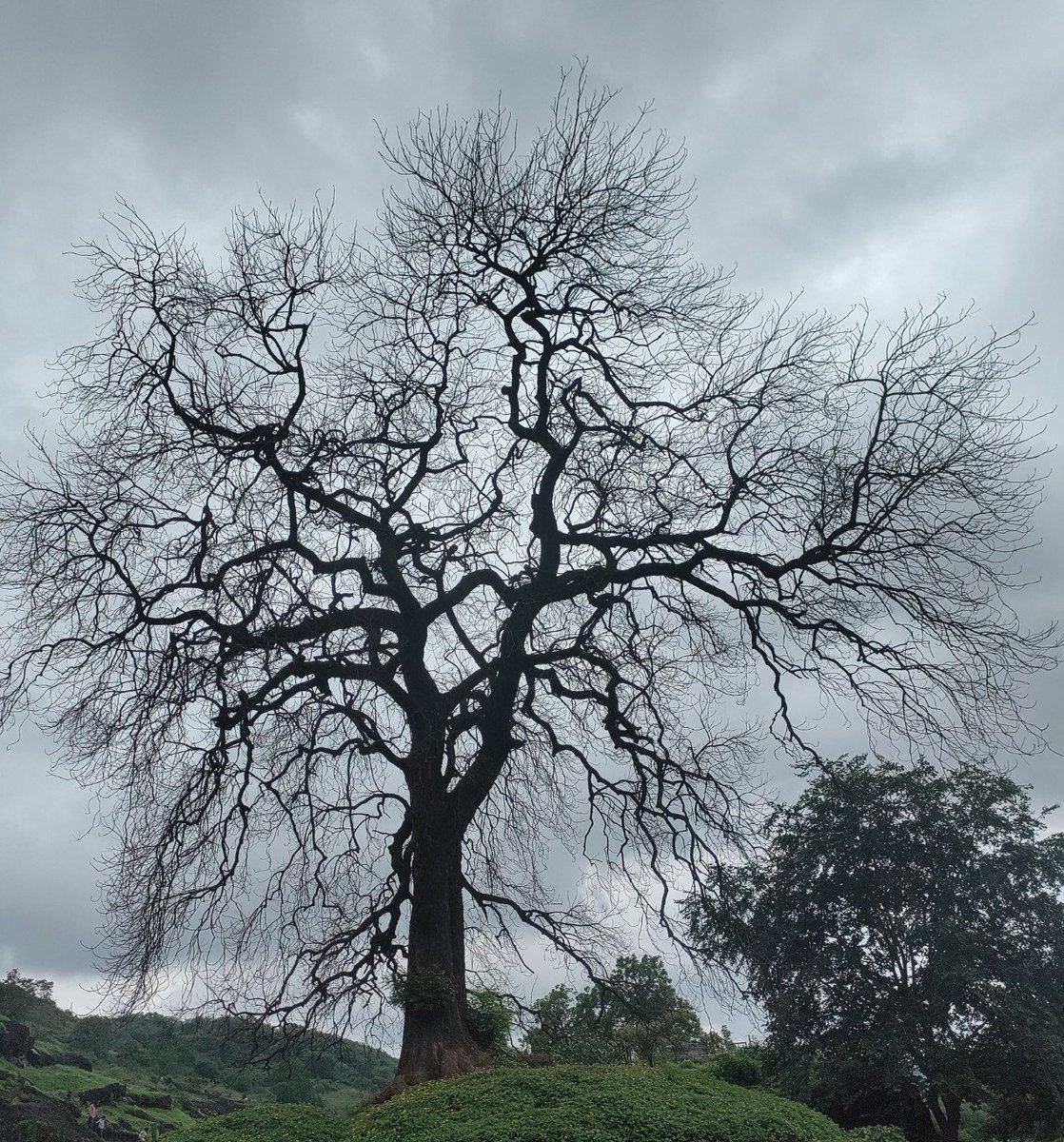 ❤️🇮🇳❤️_Th. Shankar Singh tweet media