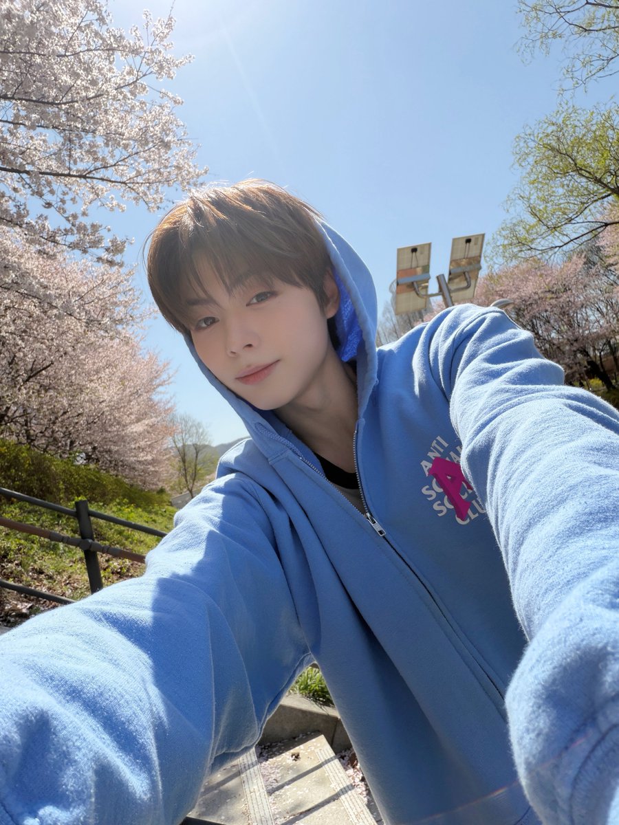 홍이가 자신이올해 레전드로젤젤젤잘찍엇다구 생각하는 벚꽃셀카💕💕💕🌸🌸🌸🌸🌸ㅋㅋㅋㅋㅋ