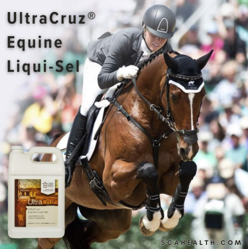 I use 𝑼𝒍𝒕𝒓𝒂𝑪𝒓𝒖𝒛® 𝑬𝒒𝒖𝒊𝒏𝒆 𝑳𝒊𝒒𝒖𝒊-𝑺𝒆𝒍 𝑺𝒖𝒑𝒑𝒍𝒆𝒎𝒆𝒏 on my horses that are in hard work and see a big difference in them. Great deal and horses love the taste, have had no issues even with the very picky ones. - Nicole
#PoweredByUltraCruz
#UltraCruz
#Equine