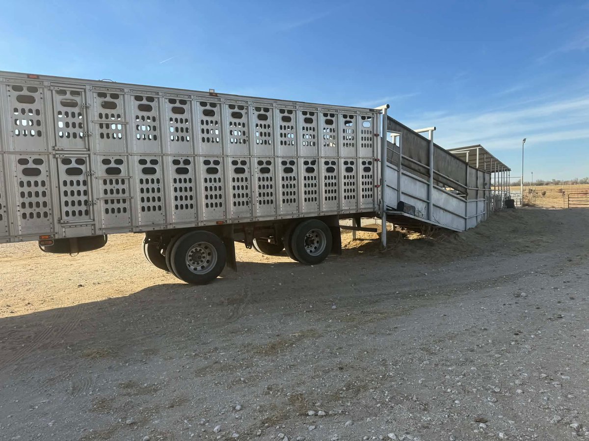 heartandhooves's tweet photo. 🚨 URGENT! 12 horses face slaughter TONIGHT! 🚨 We need to raise $8,000 to save all their lives. Placements are secured across Texas, Arizona, and Oklahoma. Every donation is tax-deductible and brings us closer to saving them. Please help! Donate and share: https://t.co/uQ46emr7U4 #SaveTheHorses #UrgentRescue #HorseRescue