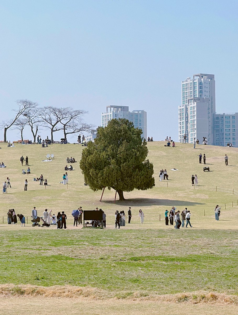 𝙹𝙸𝙹𝙸로그 tweet media