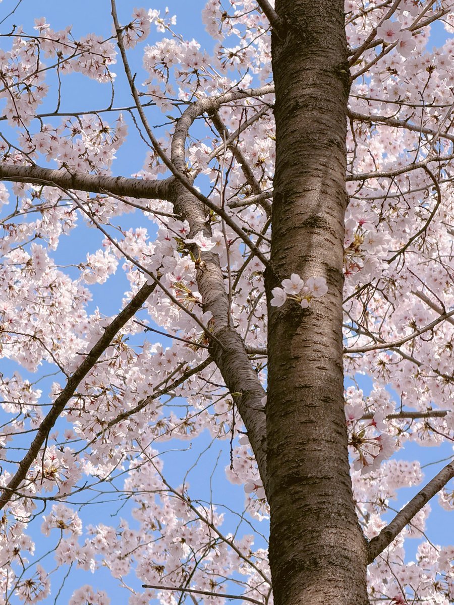 𝙹𝙸𝙹𝙸로그 tweet media