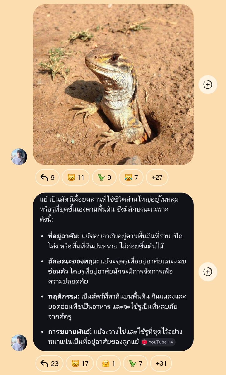 🌈lemonadeafterlemons✨ tweet media