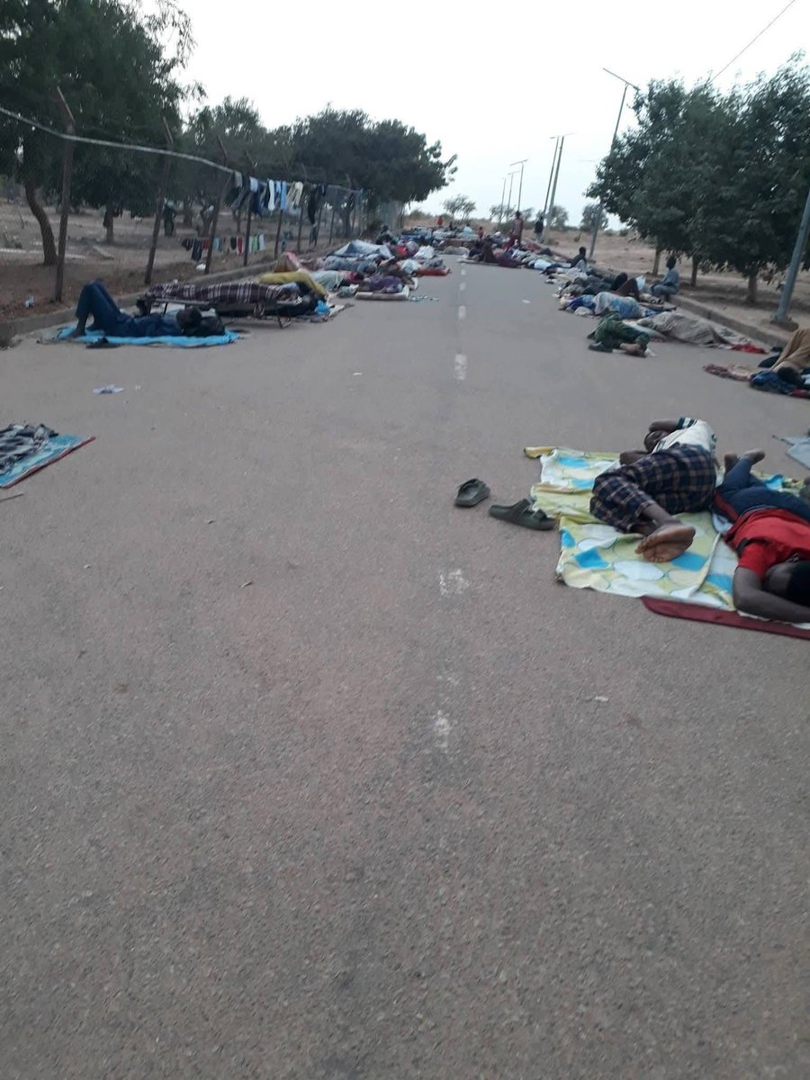 Mujahid Saleh Saad tweet media