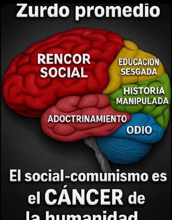 Maria del Carmen ipa tweet media