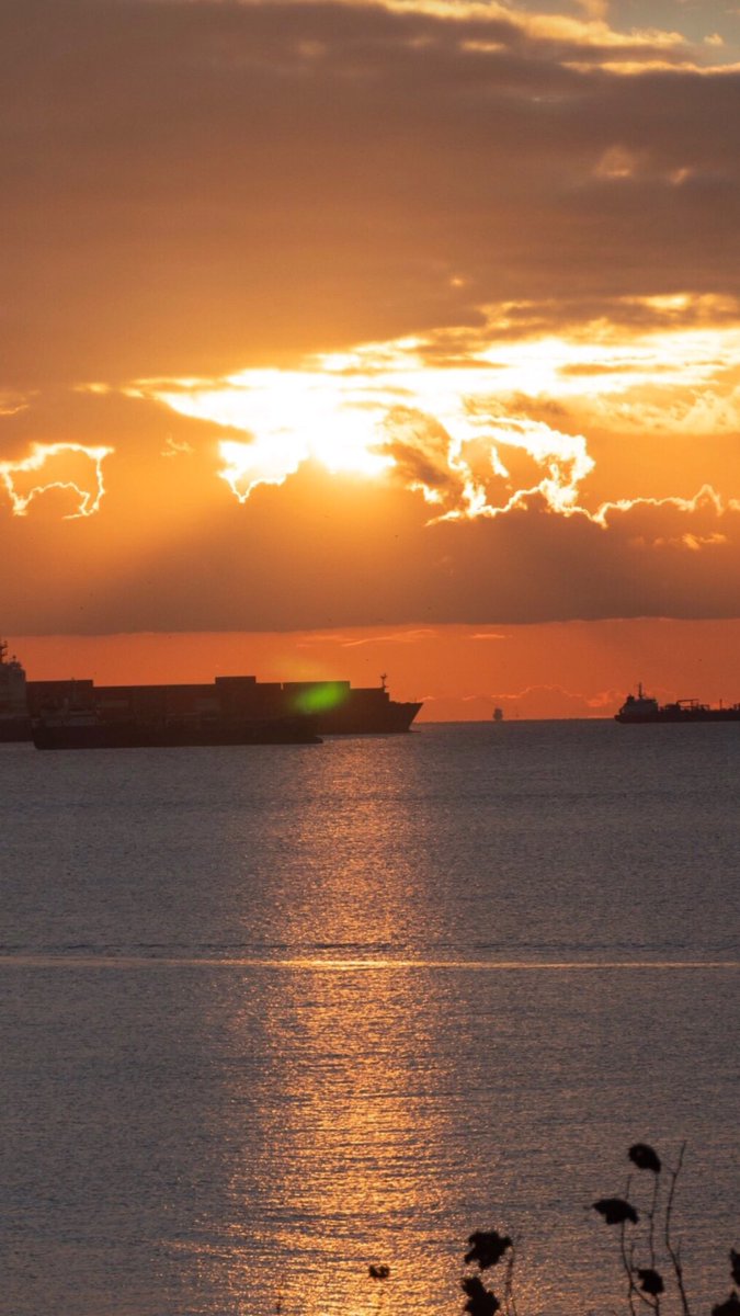 Tolga Özalp tweet media