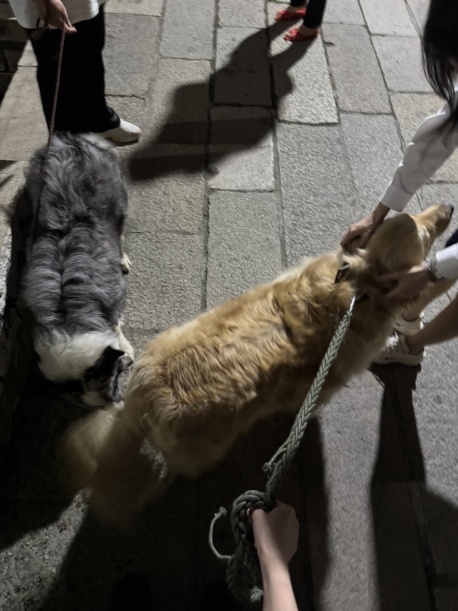 Wwanling tweet media