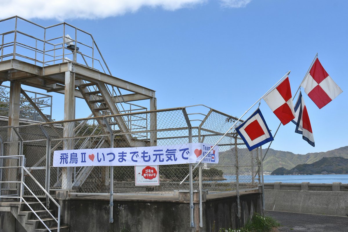 まるたま tweet media