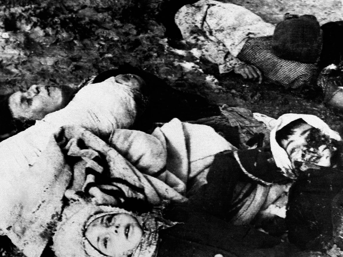 professionalHater666 tweet media