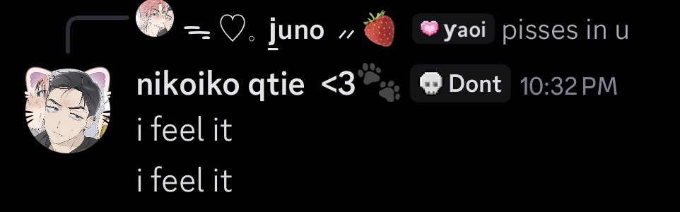 ୨𝑒 ꒱ junie . . 🐾 tweet media