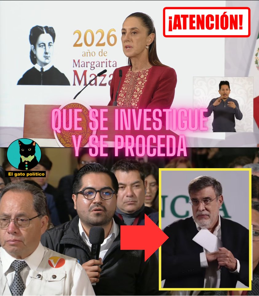 El gato político tweet media