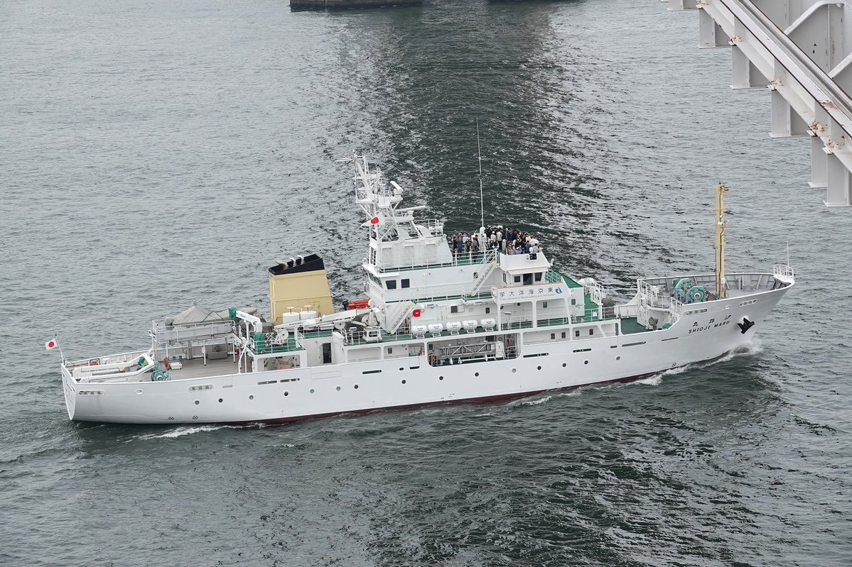 うみぎり tweet media