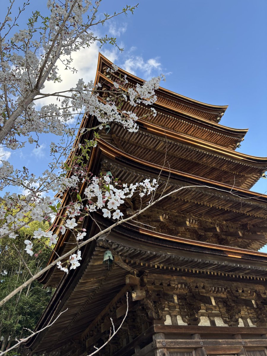 さたん tweet media