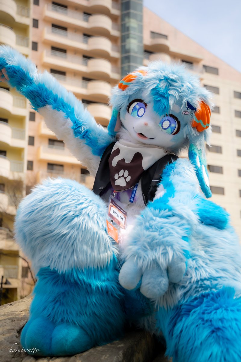 첨벙이 Splash 🦈 tweet media