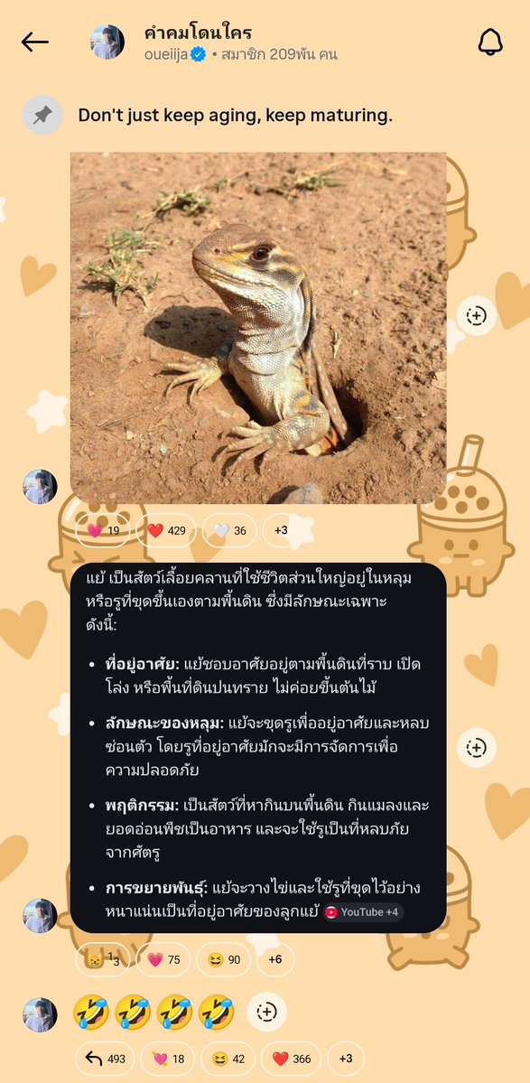 beyourNUBDAO⭐️ tweet media