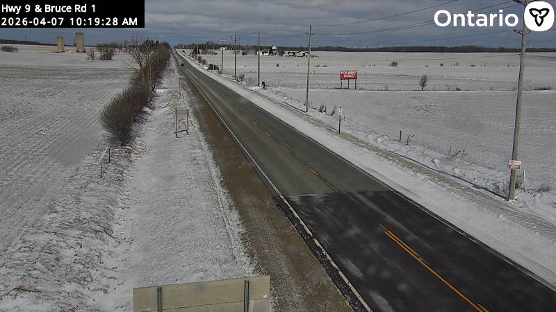 WxOntario1's tweet image. It's a Sprinter Wonderland out there across most of Southern #Ontario 😅

Good news, snow wraps up within the next couple of hours

Most of the snow should melt by the end of the day, by tomorrow afternoon, this event will be a distant memory with temps in the mid/ upper single