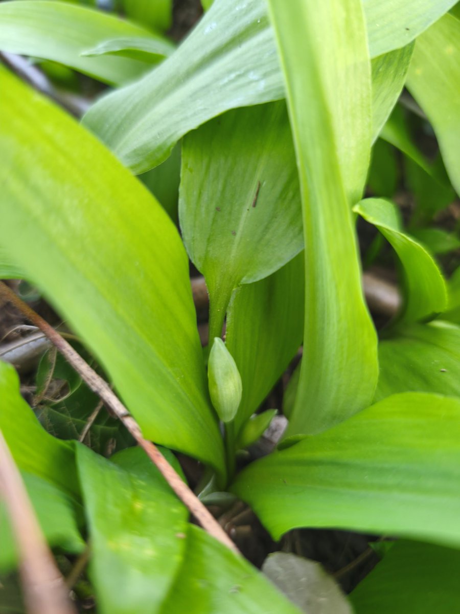 Wildschytz tweet media