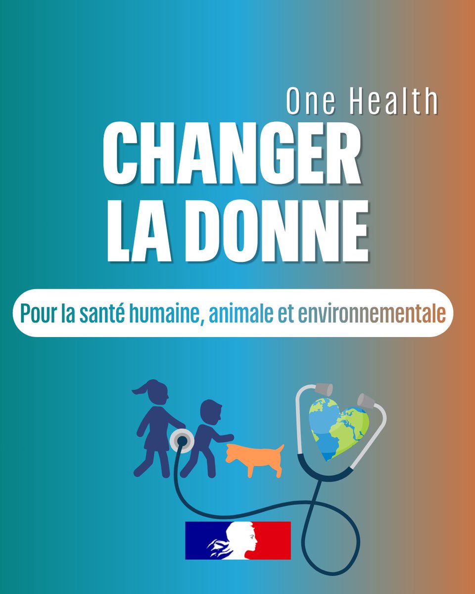 Ministère de la Santé tweet media